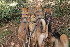 WhatsApp-Image-2025-07-26-at-16.32.46