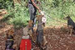 WhatsApp-Image-2025-07-26-at-16.32.461