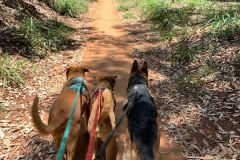 WhatsApp-Image-2025-07-26-at-16.32.47