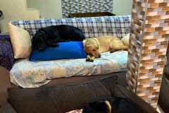 WhatsApp-Image-2025-07-26-at-17.26.28