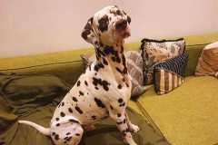 WhatsApp-Image-2025-07-26-at-17.26.281