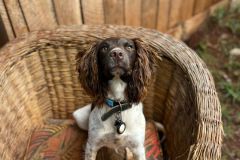 WhatsApp-Image-2025-07-29-at-18.21.47