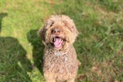 WhatsApp-Image-2025-07-29-at-18.21.471