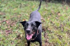 WhatsApp-Image-2025-07-29-at-18.21.48