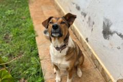 WhatsApp-Image-2025-07-29-at-18.21.482