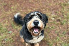 WhatsApp-Image-2025-07-29-at-18.21.49