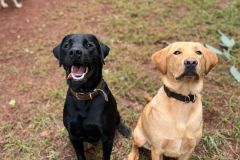 WhatsApp-Image-2025-07-29-at-18.21.491