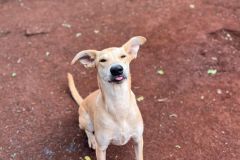 WhatsApp-Image-2025-07-29-at-18.21.492