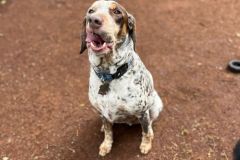 WhatsApp-Image-2025-07-29-at-18.21.501