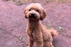 WhatsApp-Image-2025-07-29-at-18.21.502