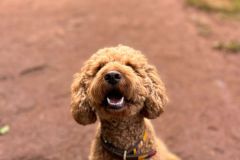 WhatsApp-Image-2025-07-29-at-18.21.503