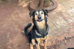 WhatsApp-Image-2025-07-29-at-18.21.51