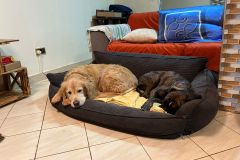 WhatsApp-Image-2025-07-29-at-18.21.511