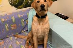 WhatsApp-Image-2025-07-29-at-18.21.512