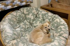 WhatsApp-Image-2025-07-29-at-18.21.513