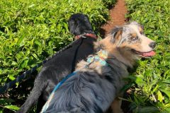 WhatsApp-Image-2025-07-29-at-18.21.52